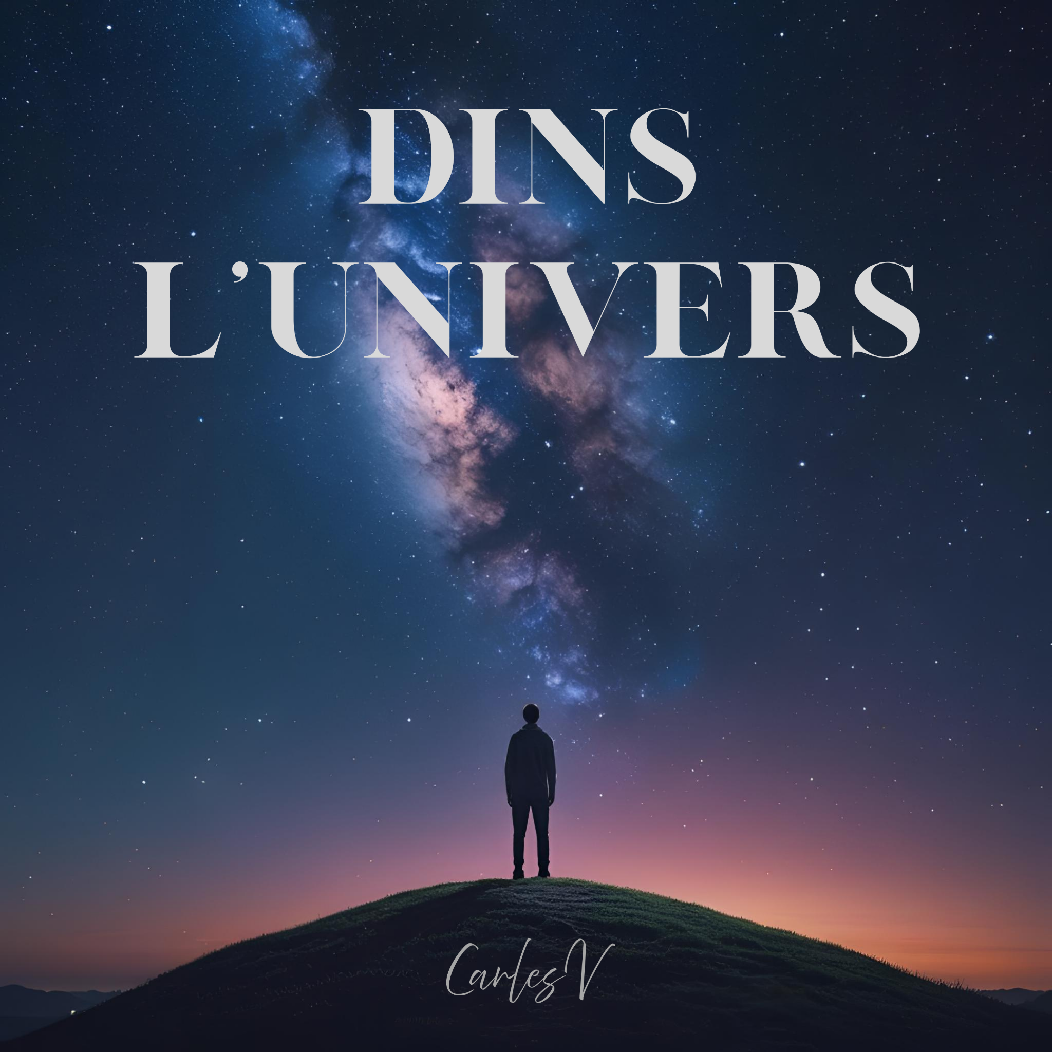 Caràtula del disc Dins l’univers (2025)